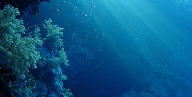 395x200_underwater powerpack.jpg